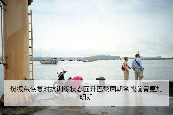 樊振东恢复对抗训练状态回升巴黎周期备战前景更加明朗