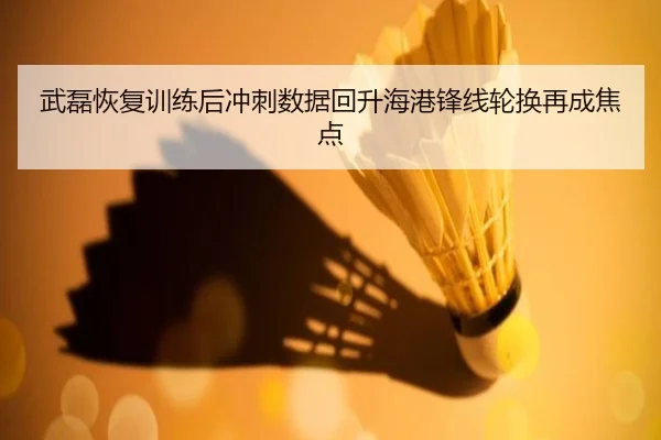 武磊恢复训练后冲刺数据回升海港锋线轮换再成焦点
