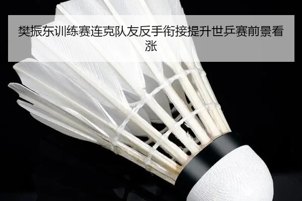 樊振东训练赛连克队友反手衔接提升世乒赛前景看涨